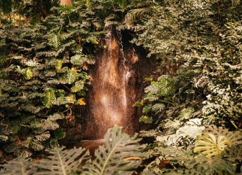????✨ AGUA D’OR – LA FONTE DELL’ETERNA GIOVINEZZA ESISTE DAVVERO E SCORRE NEL CUORE DELL’ECUADOR