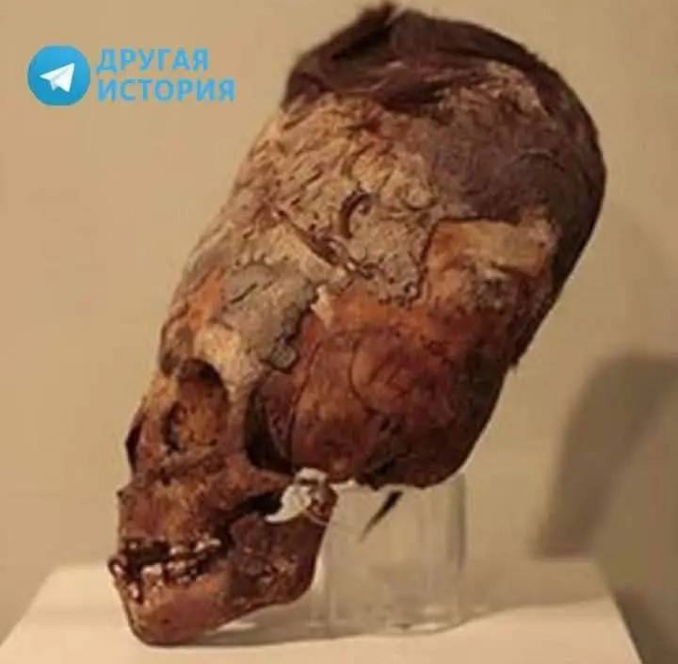 I misteriosi crani di Paracas: mutazioni genetiche o deformazioni artificiali?