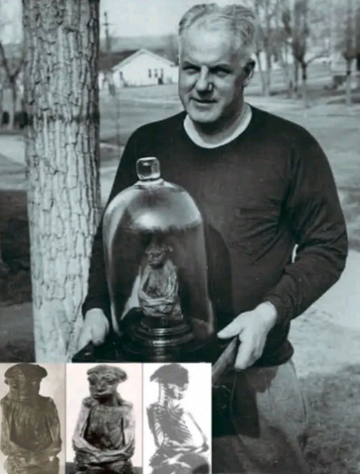 Pedro, il mistero della piccola mummia delle montagne del Wyoming