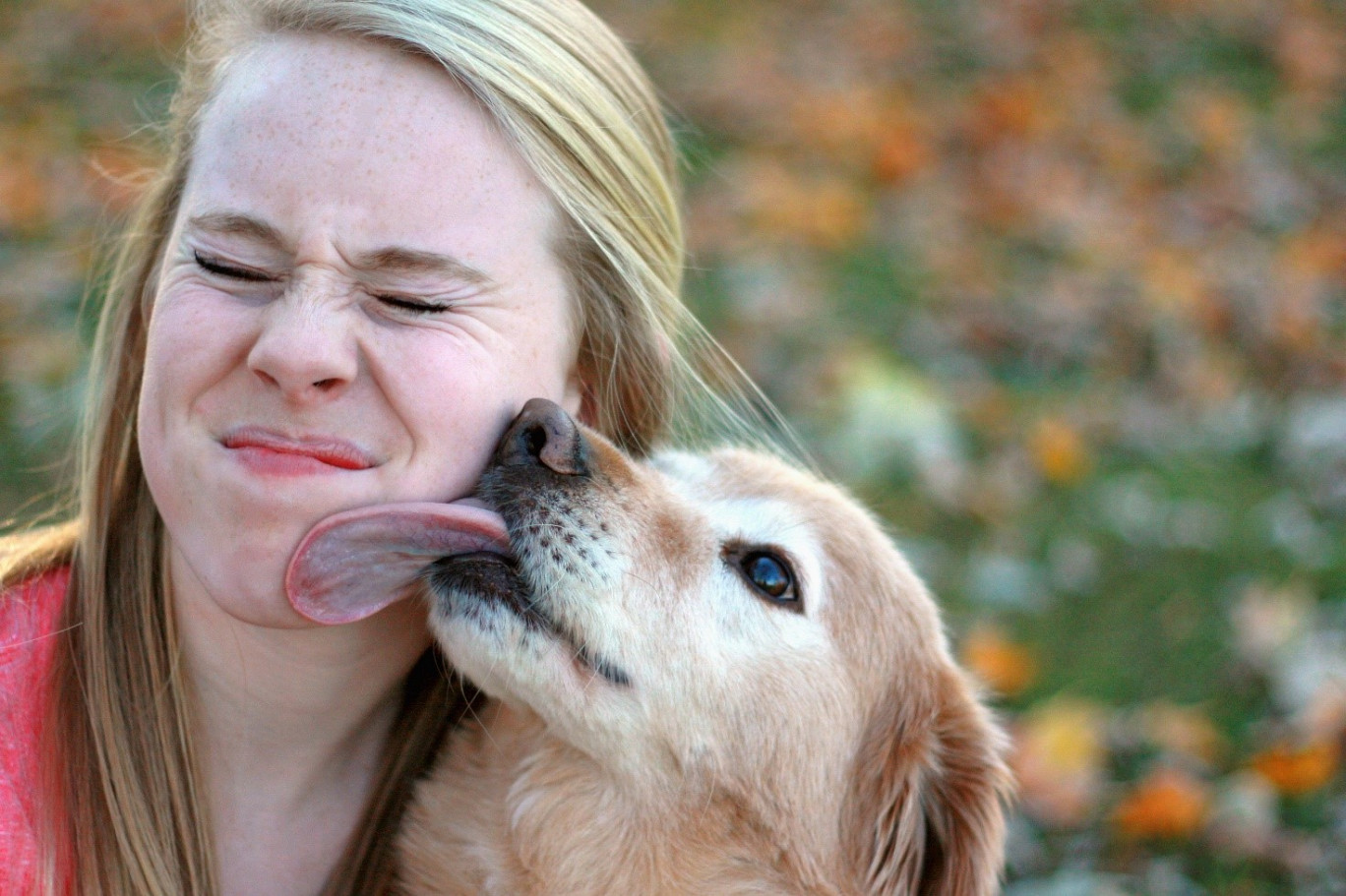 Il batterio nascosto che vive nella bocca dei nostri animali domestici
