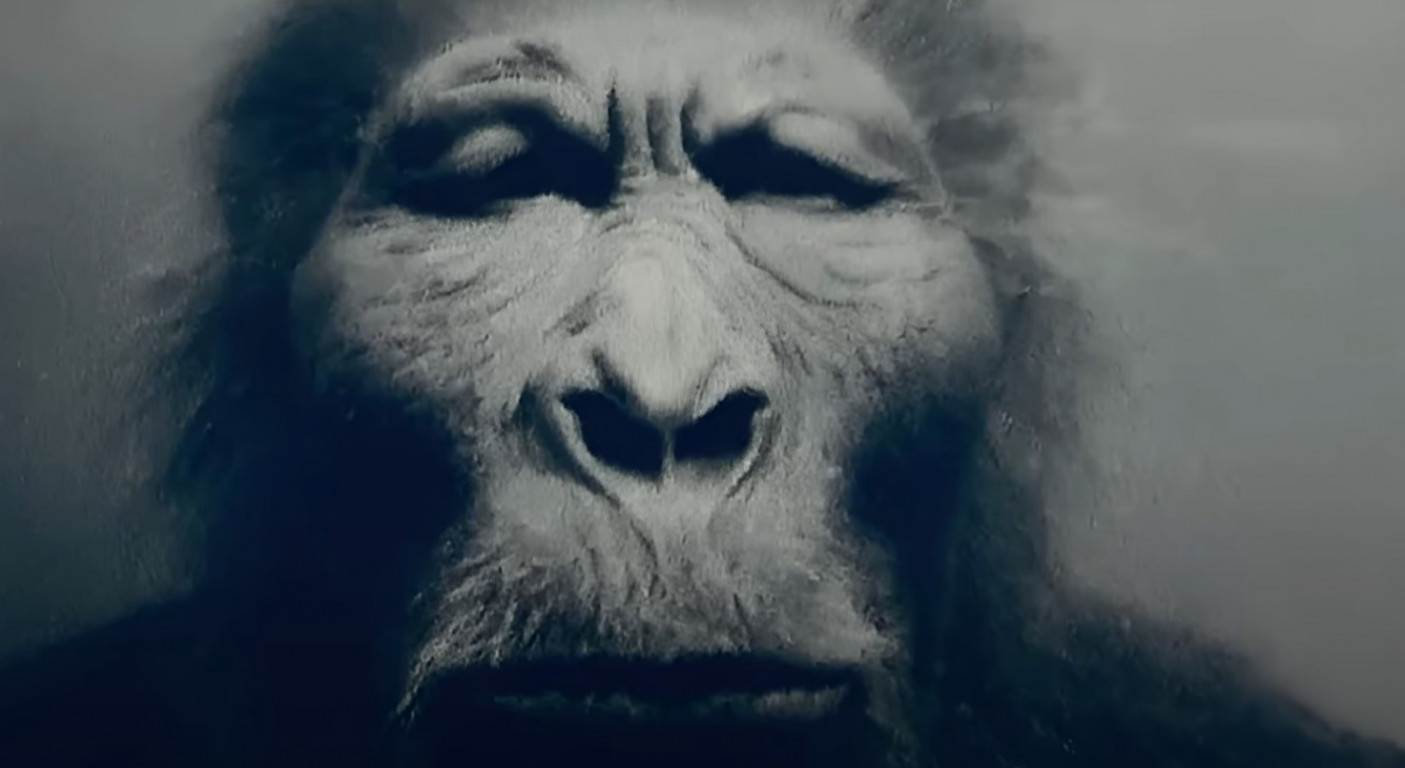 Le Prove del Bigfoot: Analisi Scientifico-Divulgativa