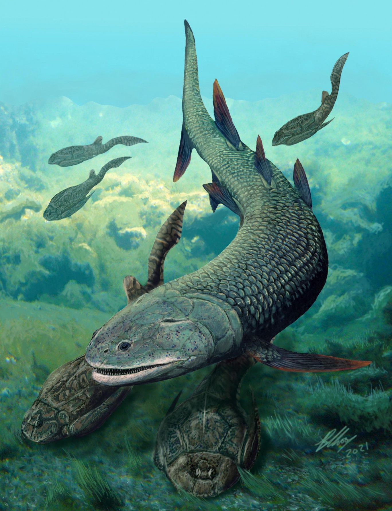 Harajicadectes zhumini: il “pesce che respirava due volte” e la finestra sull’evoluzione
