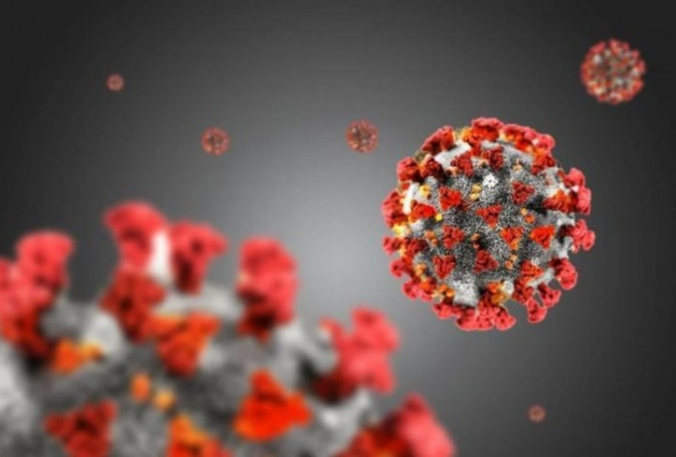 Coronavirus: nuovi studi, il virus c'era già da anni e non si trasmette per via respiratoria