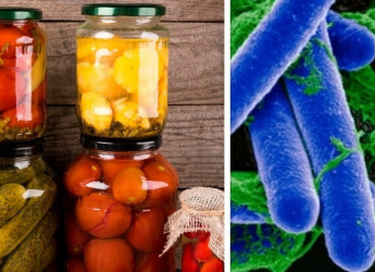 Caso botulino: 3 segnali per riconoscere conserve pericolose