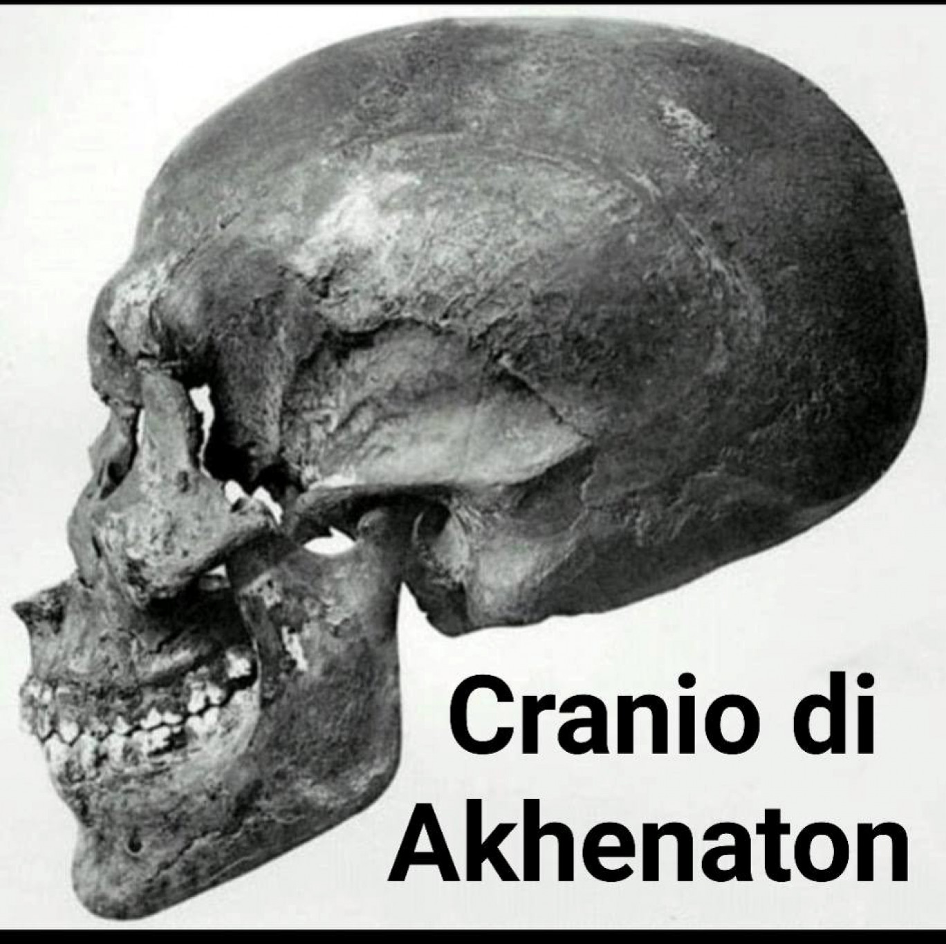 I crani di Arene Candide e il mistero della dolicocefalia preistorica