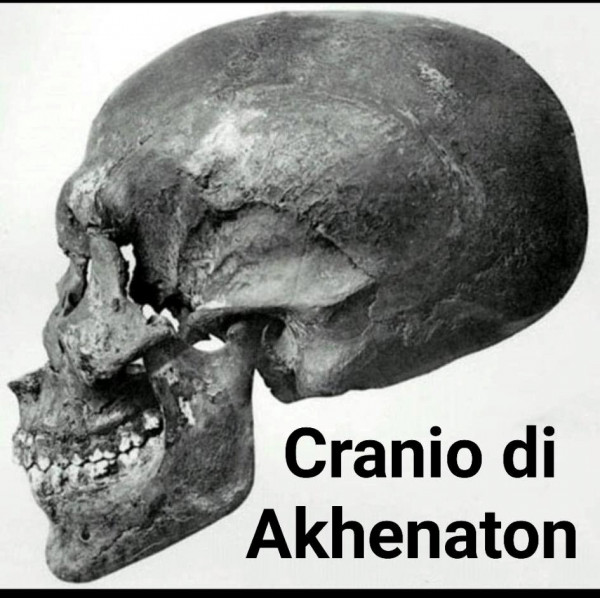 I crani di Arene Candide e il mistero della dolicocefalia preistorica