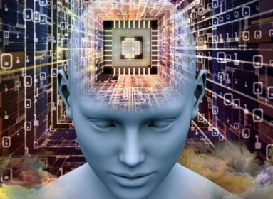 Neuroni umani collegati a un computer: è nata una nuova forma di intelligenza?