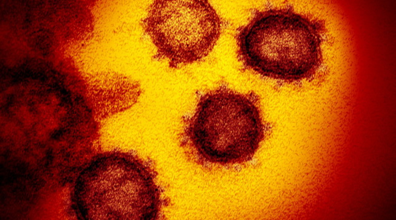 Coronavirus, quella strana esercitazione militare a Wuhan nel settembre 2019