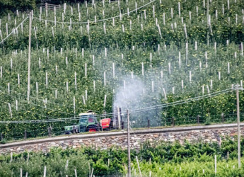 A processo per aver denunciato il massiccio uso di pesticidi: accade a Bolzano